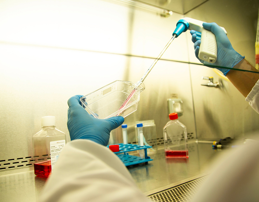 Biotechnologia i Farmacja